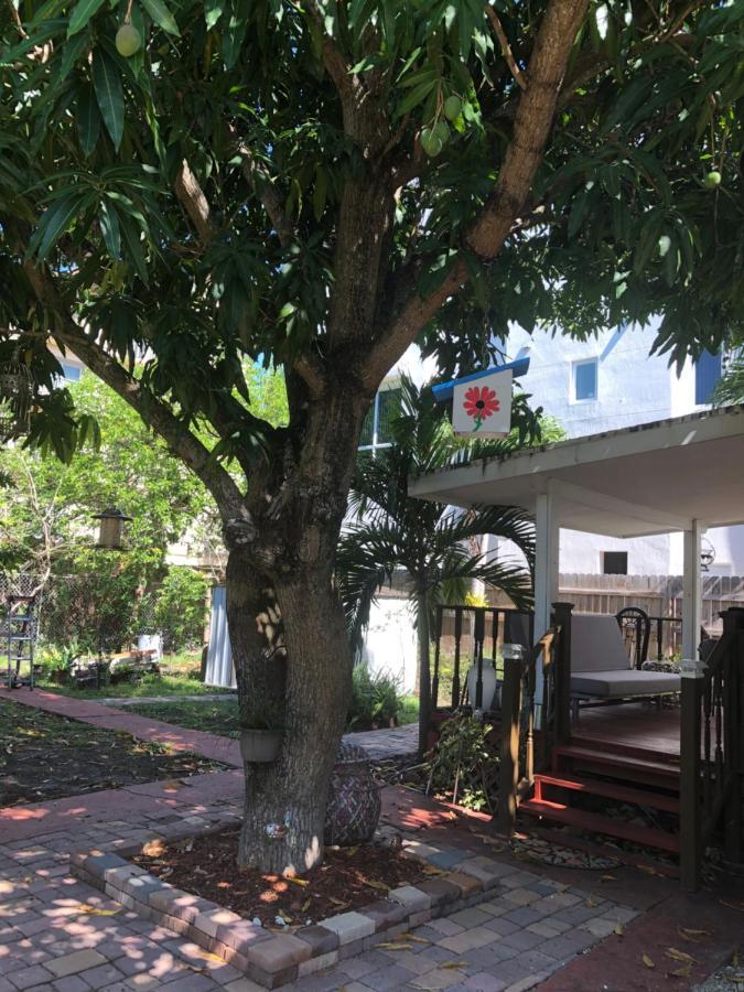 Private Suite Next To Calle Ocho Miami Zewnętrze zdjęcie